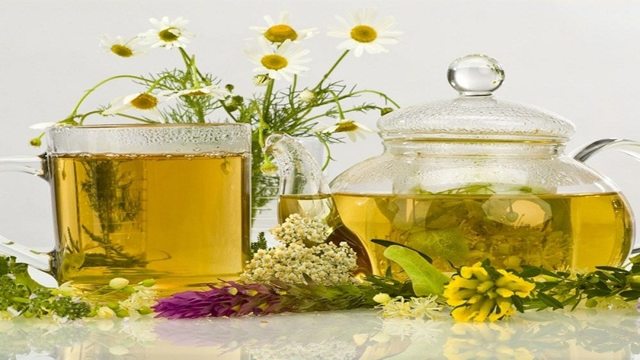 Лечение меланомы кожи проверенными народными средствами