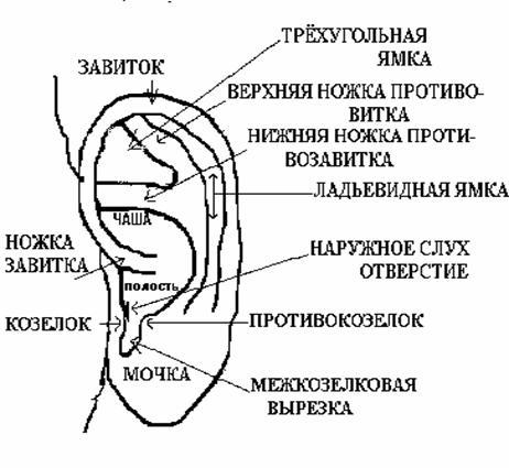 Причины развития прыщей на мочке уха