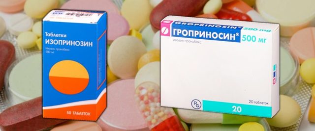 Разница между препаратами изопринозин и гроприносин